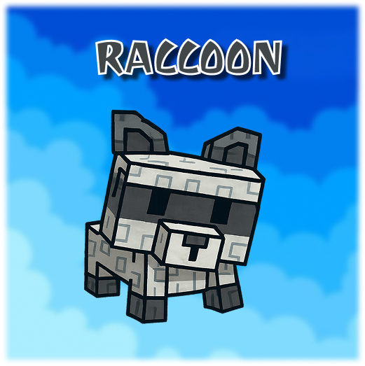Raccoon